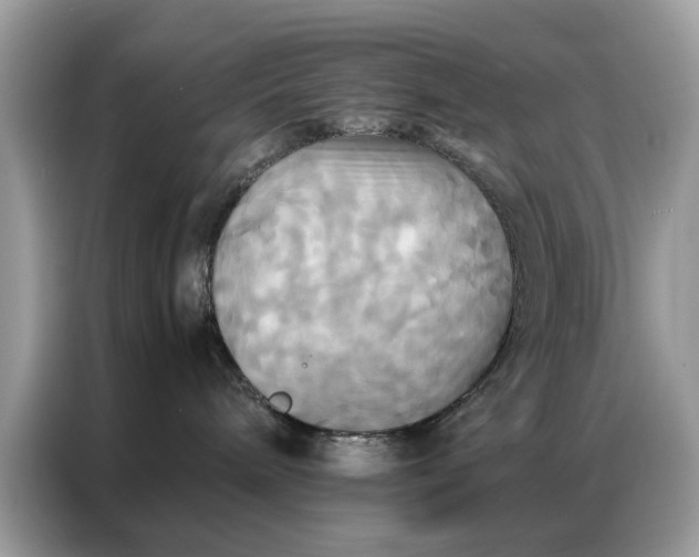 X0000086790240200704271836