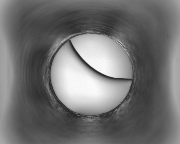 X0000086790241200704271836