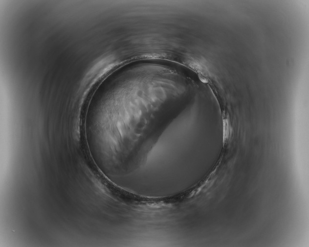 X0000086790243200704271836