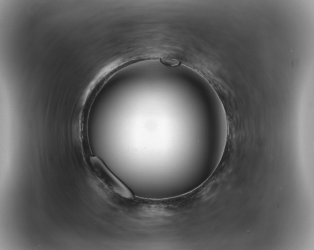 X0000086790244200704271836