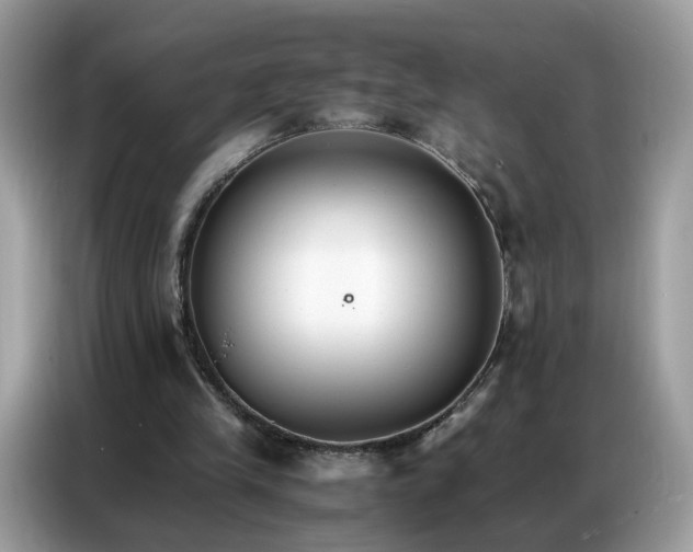 X0000086790245200704271836