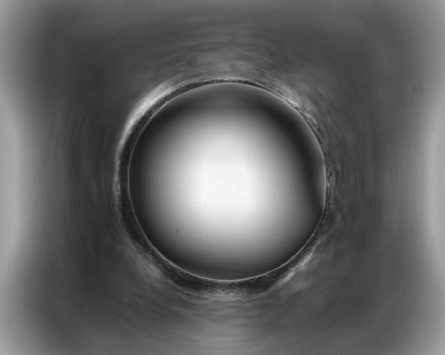 X0000086790248200704271836