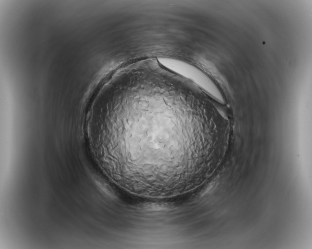 X0000086790250200704271836