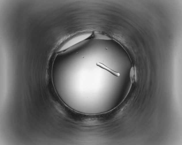 X0000086790252200704271836