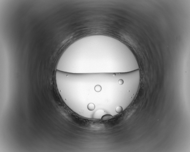 X0000086790258200704271836