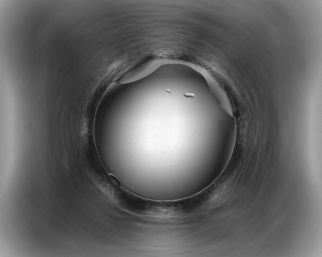 X0000086790260200704271836