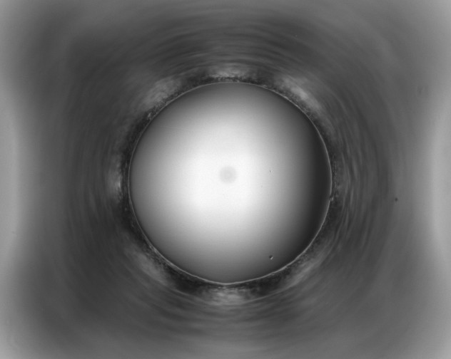 X0000086790261200704271836