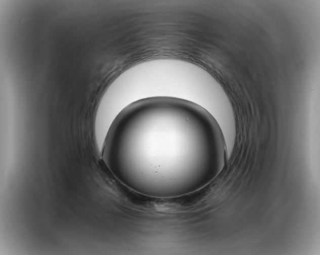 X0000086790268200704271836