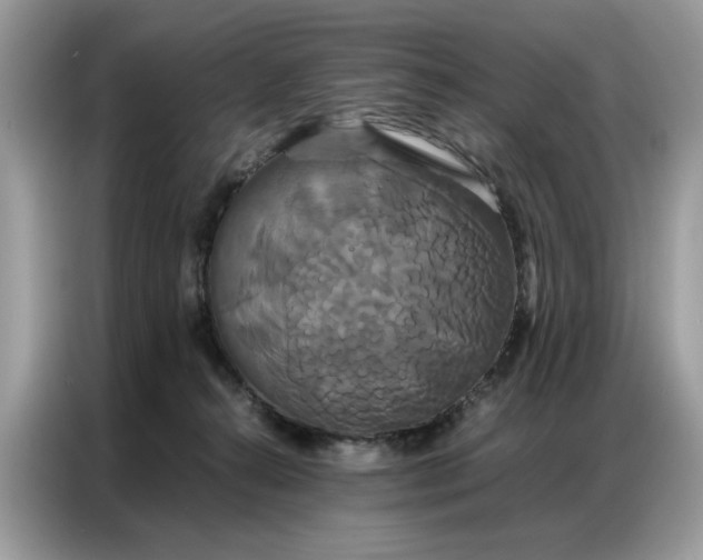 X0000086790272200704271836