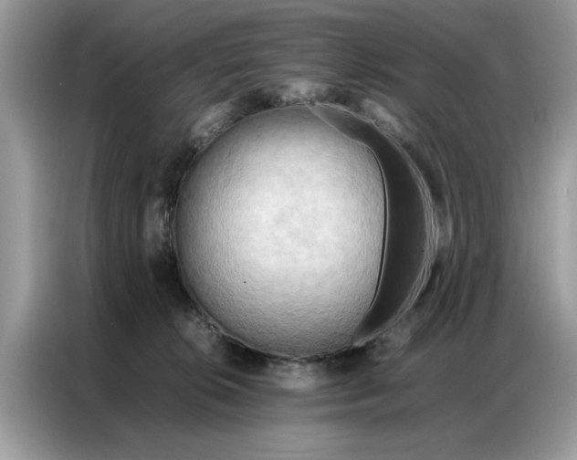 X0000086790276200704271836