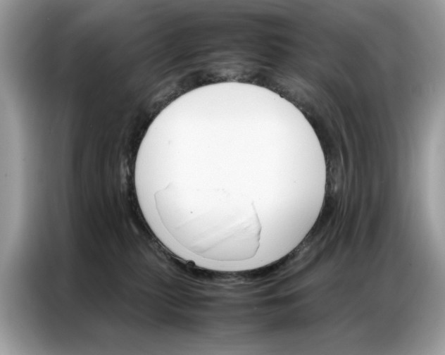 X0000086790279200704271836