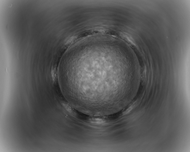 X0000086790285200704271836