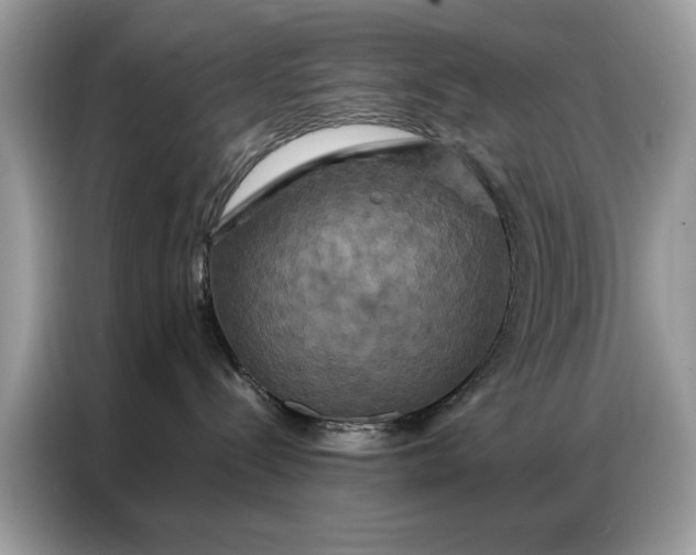 X0000086790288200704271836