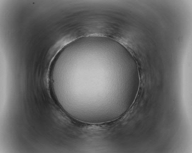 X0000086790290200704271836