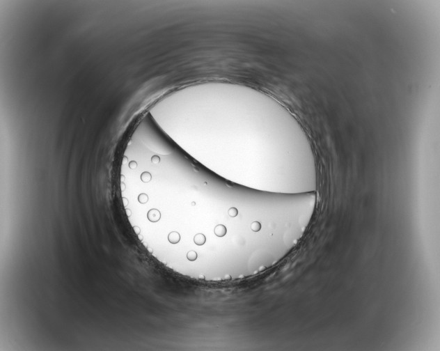 X0000086790291200704271836