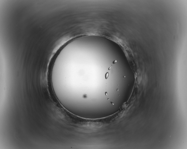 X0000086790292200704271836