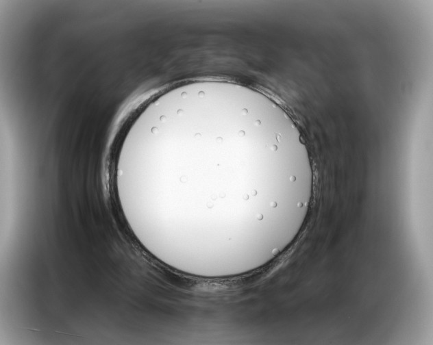 X0000086790294200704271836