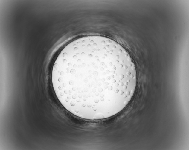 X0000086790295200704271836