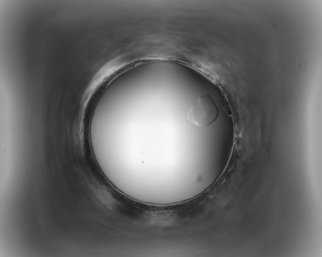 X0000086790296200704271836