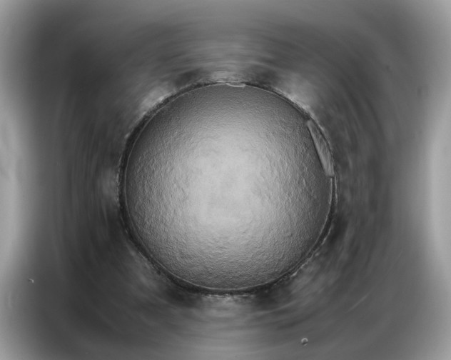 X0000086790297200704271836