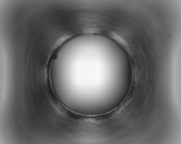 X0000086790298200704271836