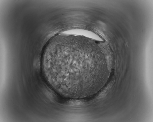 X0000086790299200704271836