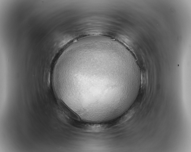 X0000086790301200704271836