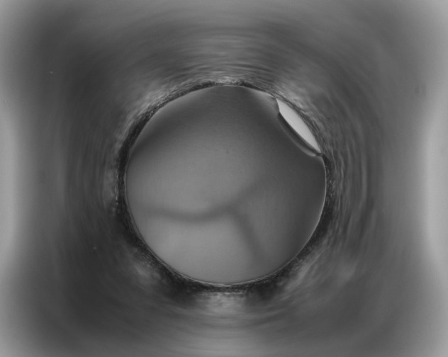 X0000086790303200704271835