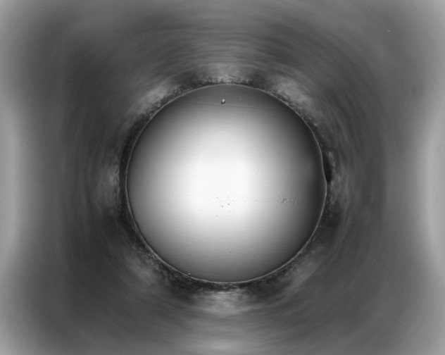 X0000086790306200704271835