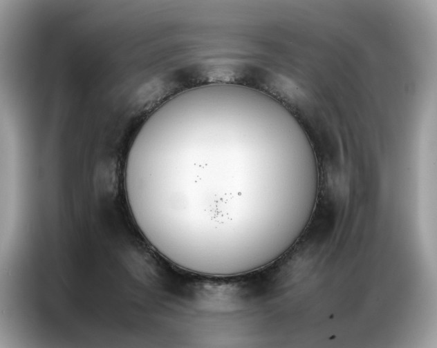 X0000086790311200704271835