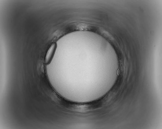 X0000086790313200704271835