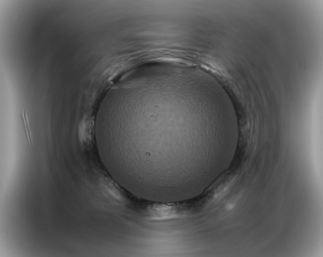 X0000086790325200704271835