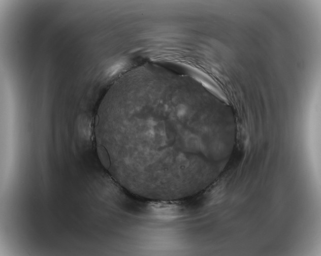 X0000086790331200704271835