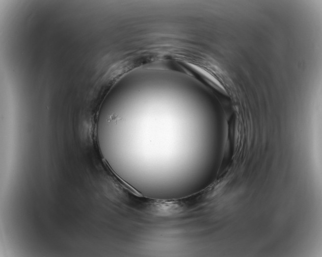 X0000086790333200704271835