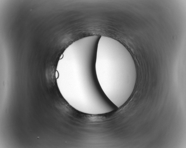 X0000086790336200704271835