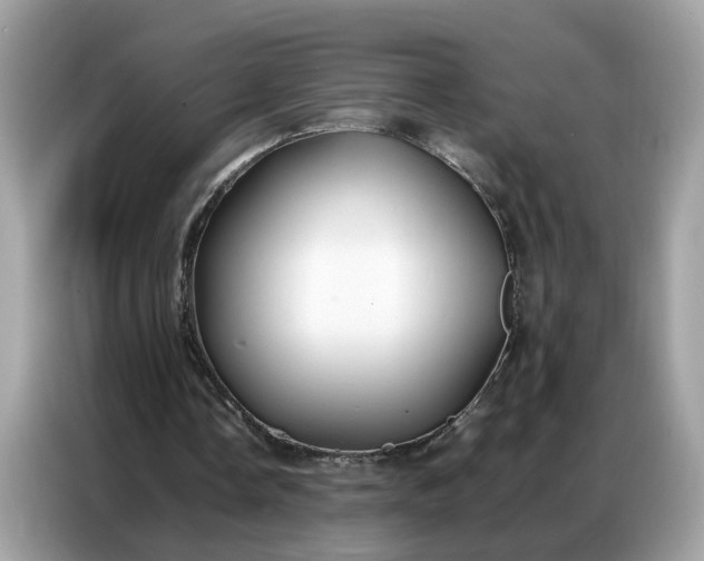 X0000086790338200704271834