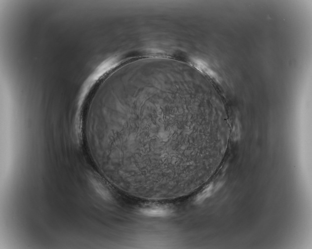 X0000086790343200704271835