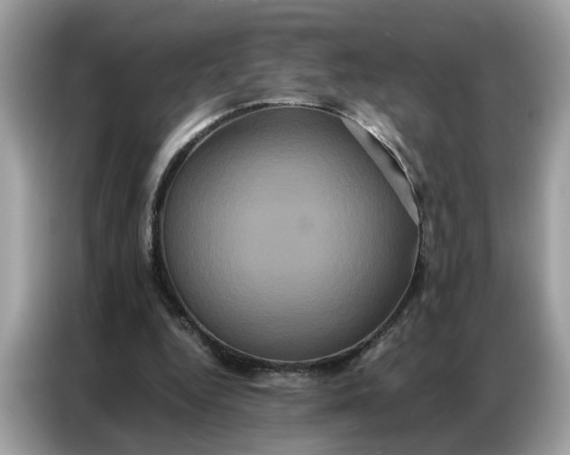 X0000086790344200704271835