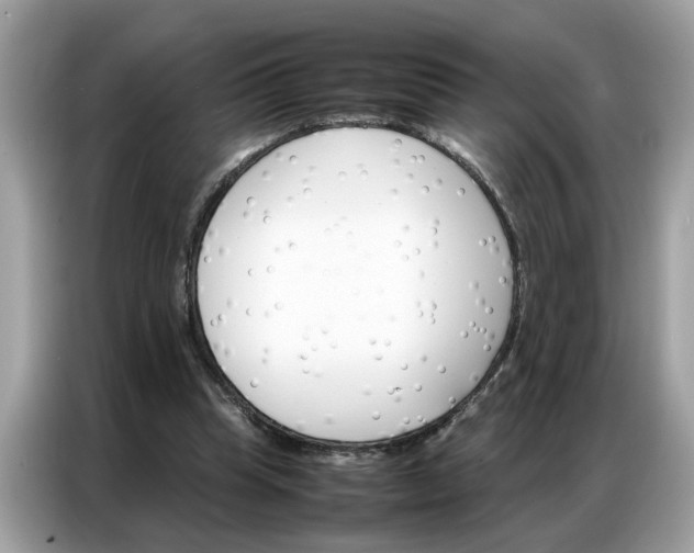 X0000086790345200704271835