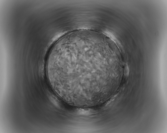 X0000086790346200704271835