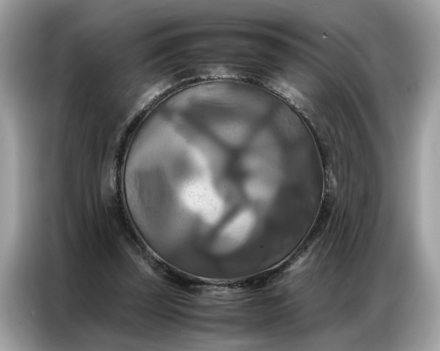 X0000086790347200704271835