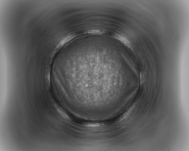 X0000086790349200704271835