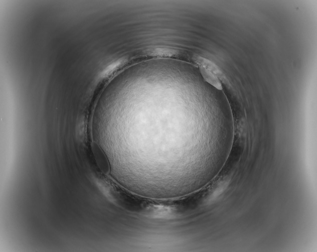 X0000086790352200704271835