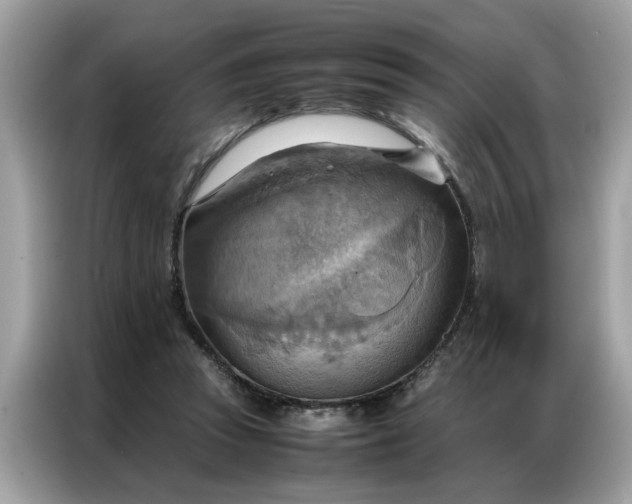 X0000086790353200704271835