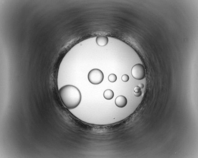 X0000086790354200704271835