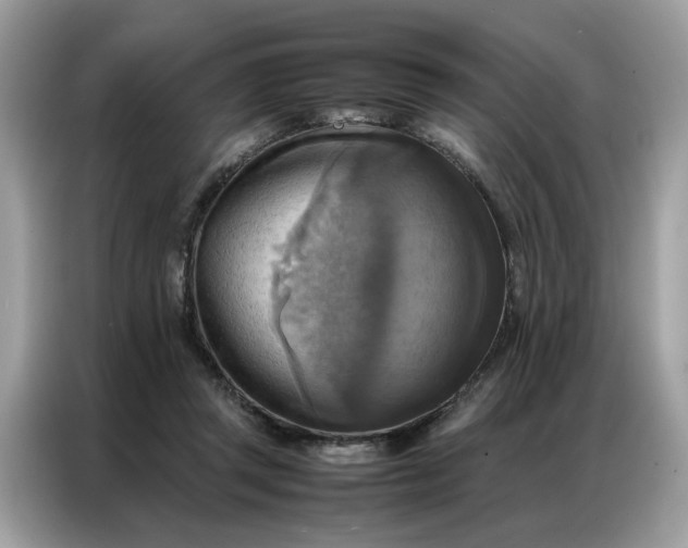 X0000086790357200704271835