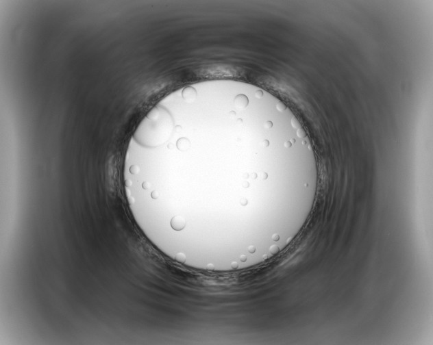 X0000086790359200704271835