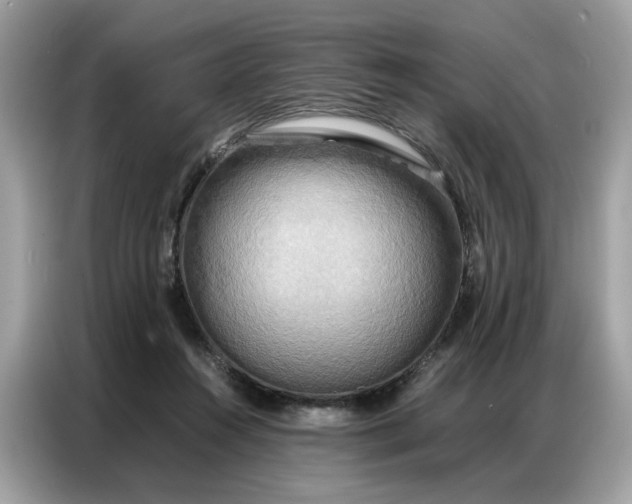 X0000086790360200704271835