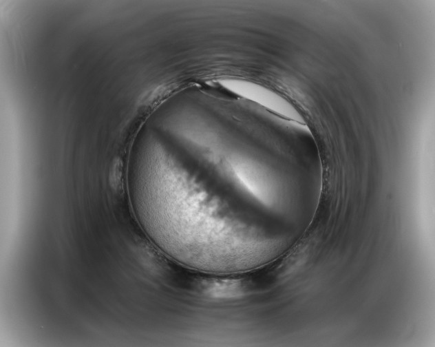 X0000086790361200704271835