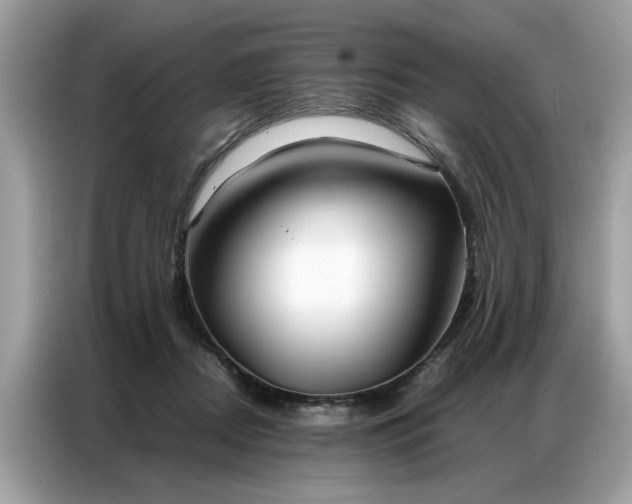 X0000086790362200704271835